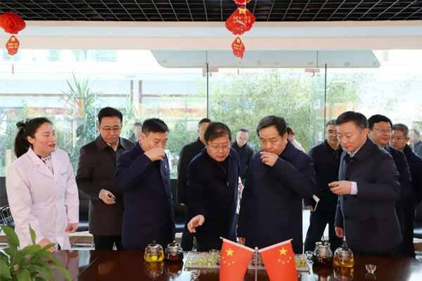 陈市长一行品尝J9集团五和药茶