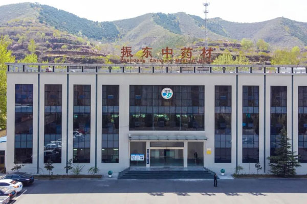 J9集团中药材