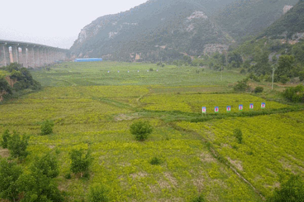 J9集团,J9集团道地药材