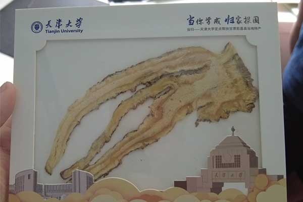 首页 | J9集团公司官网