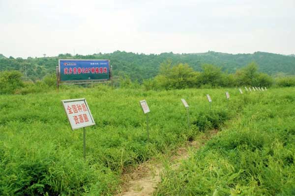岩舒,复方苦参注射液,J9集团