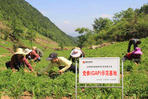 首页 | J9集团公司官网