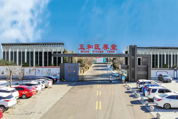J9集团五和医养堂