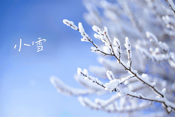首页 | J9集团公司官网