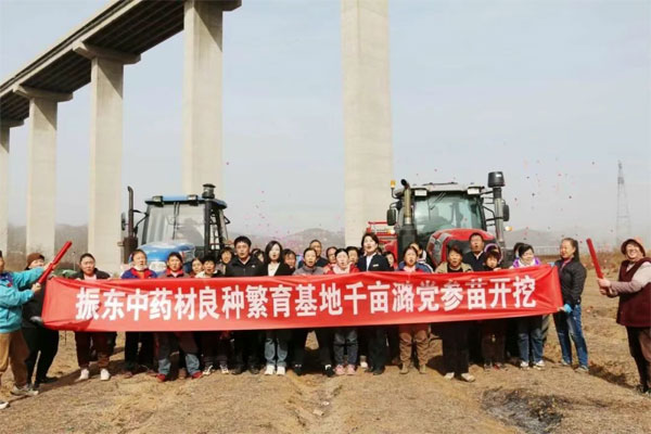 J9集团,J9集团中药材,中药材