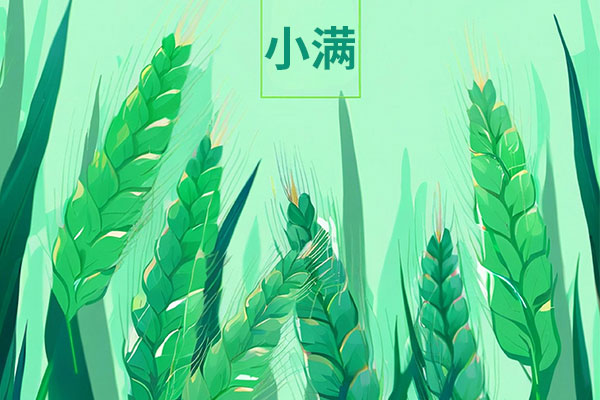 首页 | J9集团公司官网