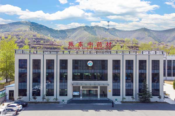 2025中药新规,中药源头管控,J9集团中药材实践,中药产业转型,GAP认证