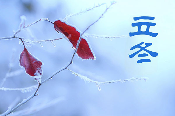 首页 | J9集团公司官网